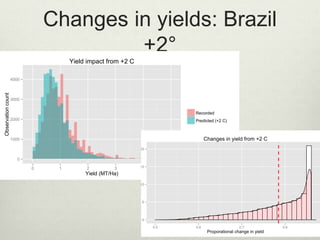 Changes in yields: Brazil
+2°
0
1000
2000
3000
4000
0 1 2 3 4 5
Yield (MT/Ha)
Observationcount
Recorded
Predicted (+2 C)
Y...