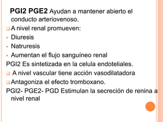 PGI2 PGE2 Ayudan a mantener abierto el 
conducto arteriovenoso. 
A nivel renal promueven: 
 Diuresis 
 Natruresis 
 Aumentan el flujo sanguíneo renal 
PGI2 Es sintetizada en la celula endoteliales. 
 A nivel vascular tiene acción vasodilatadora 
 Antagoniza el efecto tromboxano. 
PGI2- PGE2- PGD Estimulan la secreción de renina a 
nivel renal 
 