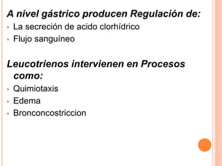 A nivel gástrico producen Regulación de: 
 La secreción de acido clorhídrico 
 Flujo sanguíneo 
Leucotrienos intervienen en Procesos 
como: 
 Quimiotaxis 
 Edema 
 Bronconcostriccion 
 