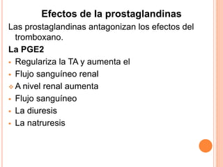 Efectos de la prostaglandinas 
Las prostaglandinas antagonizan los efectos del 
tromboxano. 
La PGE2 
 Regulariza la TA y aumenta el 
 Flujo sanguíneo renal 
A nivel renal aumenta 
 Flujo sanguíneo 
 La diuresis 
 La natruresis 
 