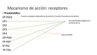 Mecanismo de acción: receptores
• Prostanoides:
EP-PGE2
EP1
EP2
EP3
EP4
DP-PGD
FP-PGF
IP-PGI
TP-TXA
Estimula AMPc
Inositoltrifosfato-diaglicerol y
aumento de Ca
Función acopladora dependiente de prote G y función transductora de señales
 