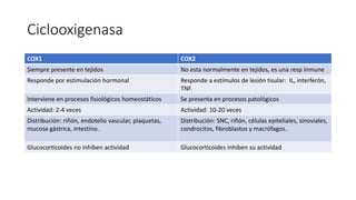 Ciclooxigenasa
COX1 COX2
Siempre presente en tejidos No esta normalmente en tejidos, es una resp inmune
Responde por estimulación hormonal Responde a estímulos de lesión tisular: IL, interferón,
TNF.
Interviene en procesos fisiológicos homeostáticos Se presenta en procesos patológicos
Actividad: 2-4 veces Actividad: 10-20 veces
Distribución: riñón, endotelio vascular, plaquetas,
mucosa gástrica, intestino.
Distribución: SNC, riñón, células epiteliales, sinoviales,
condrocitos, fibroblastos y macrófagos.
Glucocorticoides no inhiben actividad Glucocorticoides inhiben su actividad
 