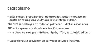 catabolismo
• Eicosanoides, prostaglandina, tromboxanos, leucotrienos actúan
dentro de células y los tejidos que los sintetizan. Pulmón.
PG2 95% se destruye en circulación pulmonar. Hidrolisis espontanea
PG1 única que escapa de esta eliminación pulmonar.
• Hay otros órganos que sintetizan: hígado, riñón, bazo, tejido adiposo
• Leucotrienos se convierten en derivados activos o inactivos.
 