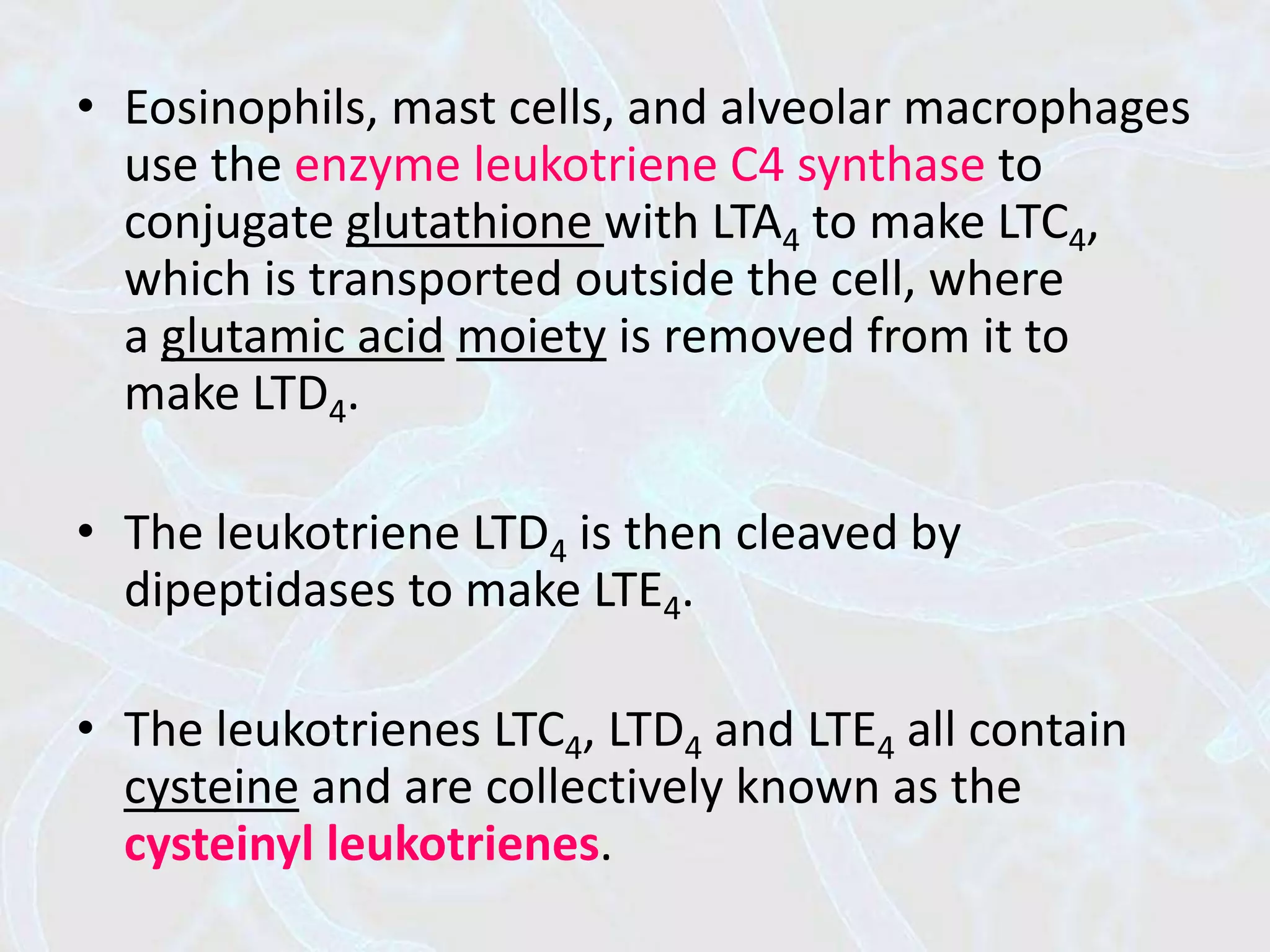 • Eosinophils, mast cells, and alveolar macrophages
use the enzyme leukotriene C4 synthase to
conjugate glutathione with LTA4 to make LTC4,
which is transported outside the cell, where
a glutamic acid moiety is removed from it to
make LTD4.
• The leukotriene LTD4 is then cleaved by
dipeptidases to make LTE4.
• The leukotrienes LTC4, LTD4 and LTE4 all contain
cysteine and are collectively known as the
cysteinyl leukotrienes.
 