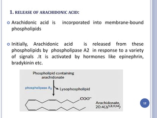 1. RELEASE OF ARACHIDONIC ACID:
 Arachidonic acid is incorporated into membrane-bound
phospholipids
 Initially, Arachidonic acid is released from these
phospholipids by phospholipase A2 in response to a variety
of signals .It is activated by hormones like epinephrin,
bradykinin etc.
12
 
