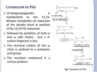 CATABOLISM OF PGS
 15-ketoprostaglandin is
metabolized to the 13,14-
dihydro metabolite via reduction
of the double bond at position
13 by 13,14-PG reductase
 followed by oxidation of both α
and ω side chains, and a 4-
carbon fragment is lost.
 The terminal carbon of the ω
chain is oxidized to a carboxylic
acid group.
 The resultant compound is a
urinary product.
Fig: Catabolism of PGs
18
 
