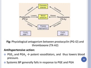 Antihypertensive action:
 PGE2 and PGA2 → potent vasodilators, and thus lowers blood
pressure.
 Systemic BP generally falls in response to PGE and PGA
Fig: Physiological antagonism between prostacyclin (PG-I2) and
thromboxane (TX-A2)
25
 