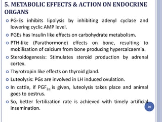 5. METABOLIC EFFECTS & ACTION ON ENDOCRINE
ORGANS
 PG-Es inhibits lipolysis by inhibiting adenyl cyclase and
lowering cyclic AMP level.
 PGEs has Insulin like effects on carbohydrate metabolism.
 PTH-like (Parathormone) effects on bone, resulting to
mobilisation of calcium from bone producing hypercalcaemia.
 Steroidogenesis: Stimulates steroid production by adrenal
cortex.
 Thyrotropin like effects on thyroid gland.
 Luteolysis: PGs are involved in LH induced ovulation.
 In cattle, if PGF2α is given, luteolysis takes place and animal
goes to oestrus.
 So, better fertilization rate is achieved with timely artificial
insemination. 30
 