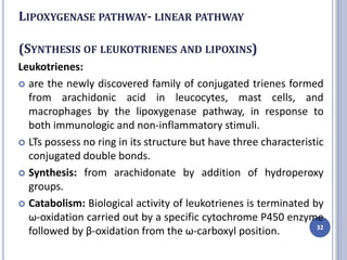 LIPOXYGENASE PATHWAY- LINEAR PATHWAY
(SYNTHESIS OF LEUKOTRIENES AND LIPOXINS)
Leukotrienes:
 are the newly discovered family of conjugated trienes formed
from arachidonic acid in leucocytes, mast cells, and
macrophages by the lipoxygenase pathway, in response to
both immunologic and non-inflammatory stimuli.
 LTs possess no ring in its structure but have three characteristic
conjugated double bonds.
 Synthesis: from arachidonate by addition of hydroperoxy
groups.
 Catabolism: Biological activity of leukotrienes is terminated by
ω-oxidation carried out by a specific cytochrome P450 enzyme
followed by β-oxidation from the ω-carboxyl position. 32
 