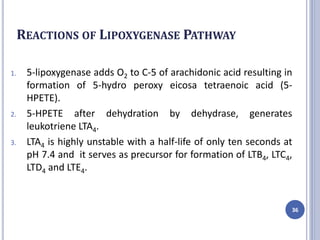 REACTIONS OF LIPOXYGENASE PATHWAY
1. 5-lipoxygenase adds O2 to C-5 of arachidonic acid resulting in
formation of 5-hydro peroxy eicosa tetraenoic acid (5-
HPETE).
2. 5-HPETE after dehydration by dehydrase, generates
leukotriene LTA4.
3. LTA4 is highly unstable with a half-life of only ten seconds at
pH 7.4 and it serves as precursor for formation of LTB4, LTC4,
LTD4 and LTE4.
36
 