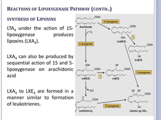 REACTIONS OF LIPOXYGENASE PATHWAY (CONTD..)
SYNTHESIS OF LIPOXINS
LTA4 under the action of 15-
lipoxygenase produces
lipoxins (LXA4).
LXA4 can also be produced by
sequential action of 15 and 5-
lipoxygenase on arachidonic
acid
LXA4 to LXE4 are formed in a
manner similar to formation
of leukotrienes. 41
 