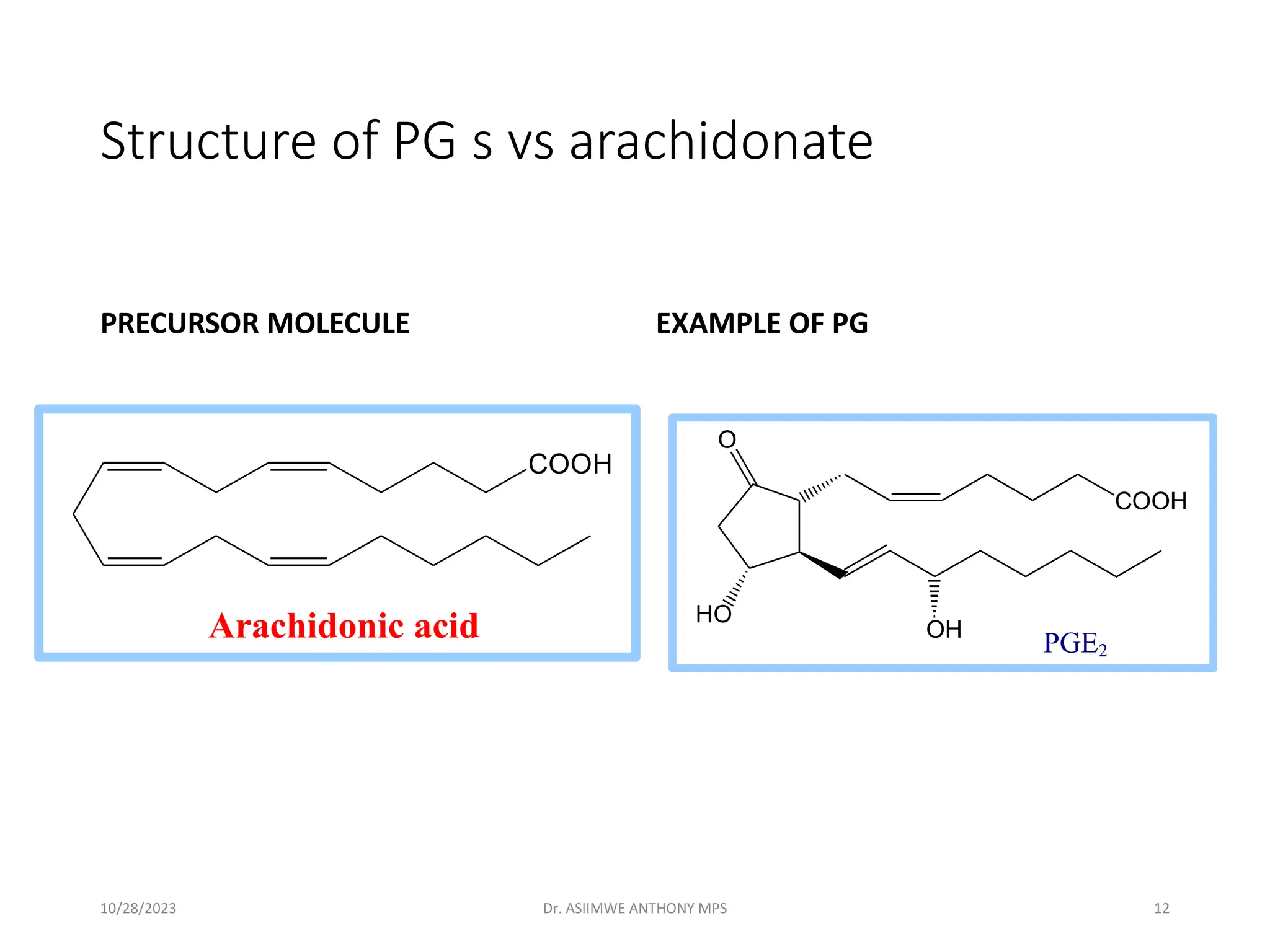 Structure of PG s vs arachidonate
PRECURSOR MOLECULE
Arachidonic acid
COOH
EXAMPLE OF PG
COOH
O
HO
OH
PGE2
10/28/2023 Dr. ASIIMWE ANTHONY MPS 12
 