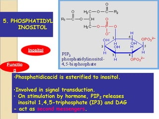 Pip2 Inositol Eicosanoids.pptx for first year medical students | PPTX