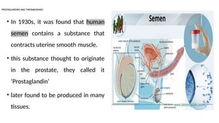 PROSTAGLANDINS AND THROMBOXANES
• In 1930s, it was found that human
semen contains a substance that
contracts uterine smooth muscle.
• this substance thought to originate
in the prostate, they called it
‘Prostaglandin’
• later found to be produced in many
tissues.
 