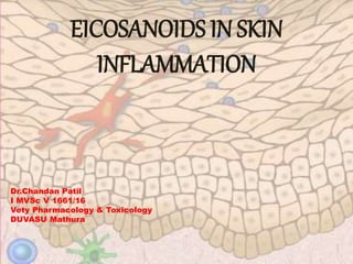 EICOSANOIDS IN SKIN
INFLAMMATION
Dr.Chandan Patil
I MVSc V 1661/16
Vety Pharmacology & Toxicology
DUVASU Mathura
 