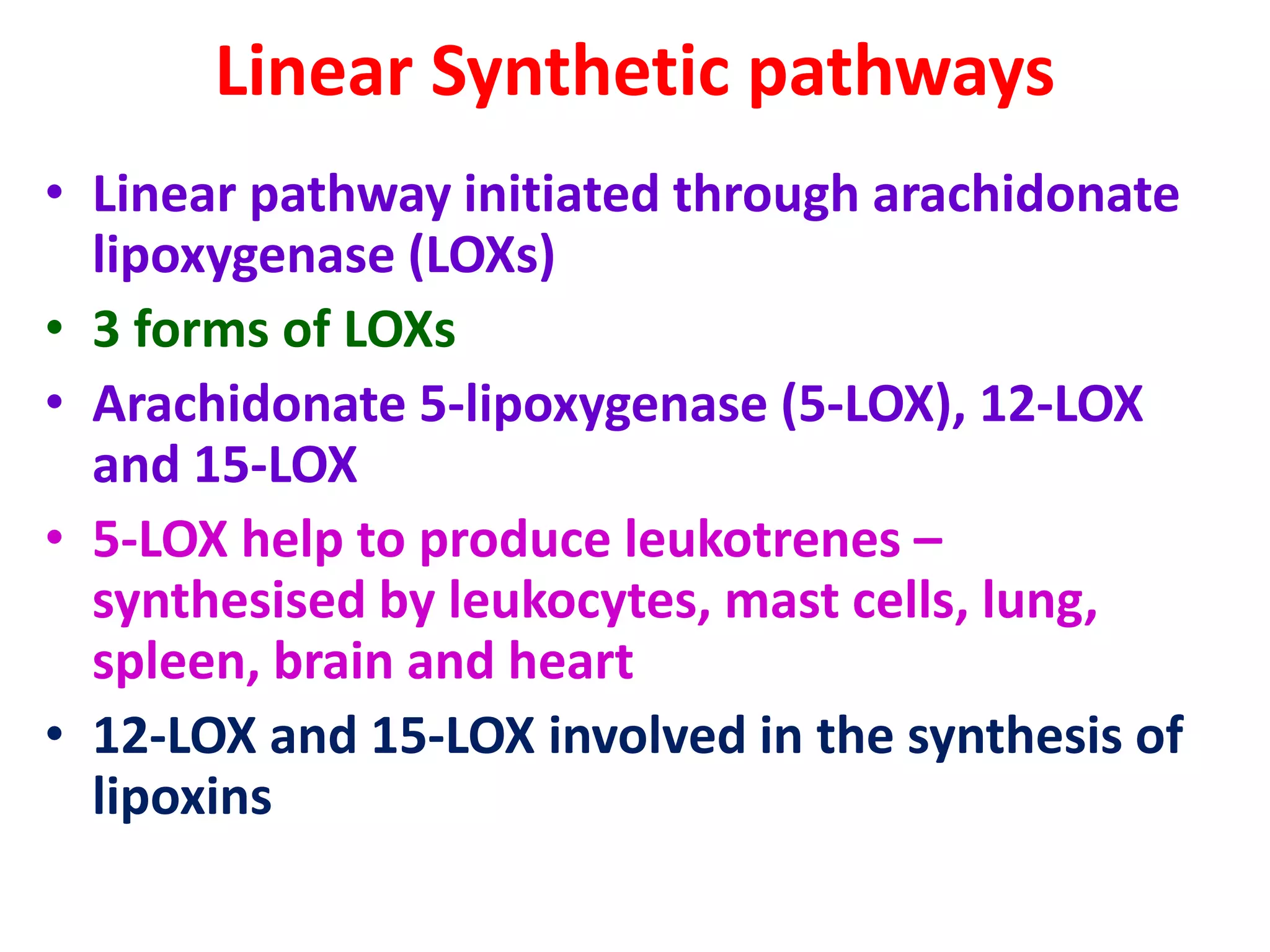 Linear Synthetic pathways
• Linear pathway initiated through arachidonate
lipoxygenase (LOXs)
• 3 forms of LOXs
• Arachidonate 5-lipoxygenase (5-LOX), 12-LOX
and 15-LOX
• 5-LOX help to produce leukotrenes –
synthesised by leukocytes, mast cells, lung,
spleen, brain and heart
• 12-LOX and 15-LOX involved in the synthesis of
lipoxins
 