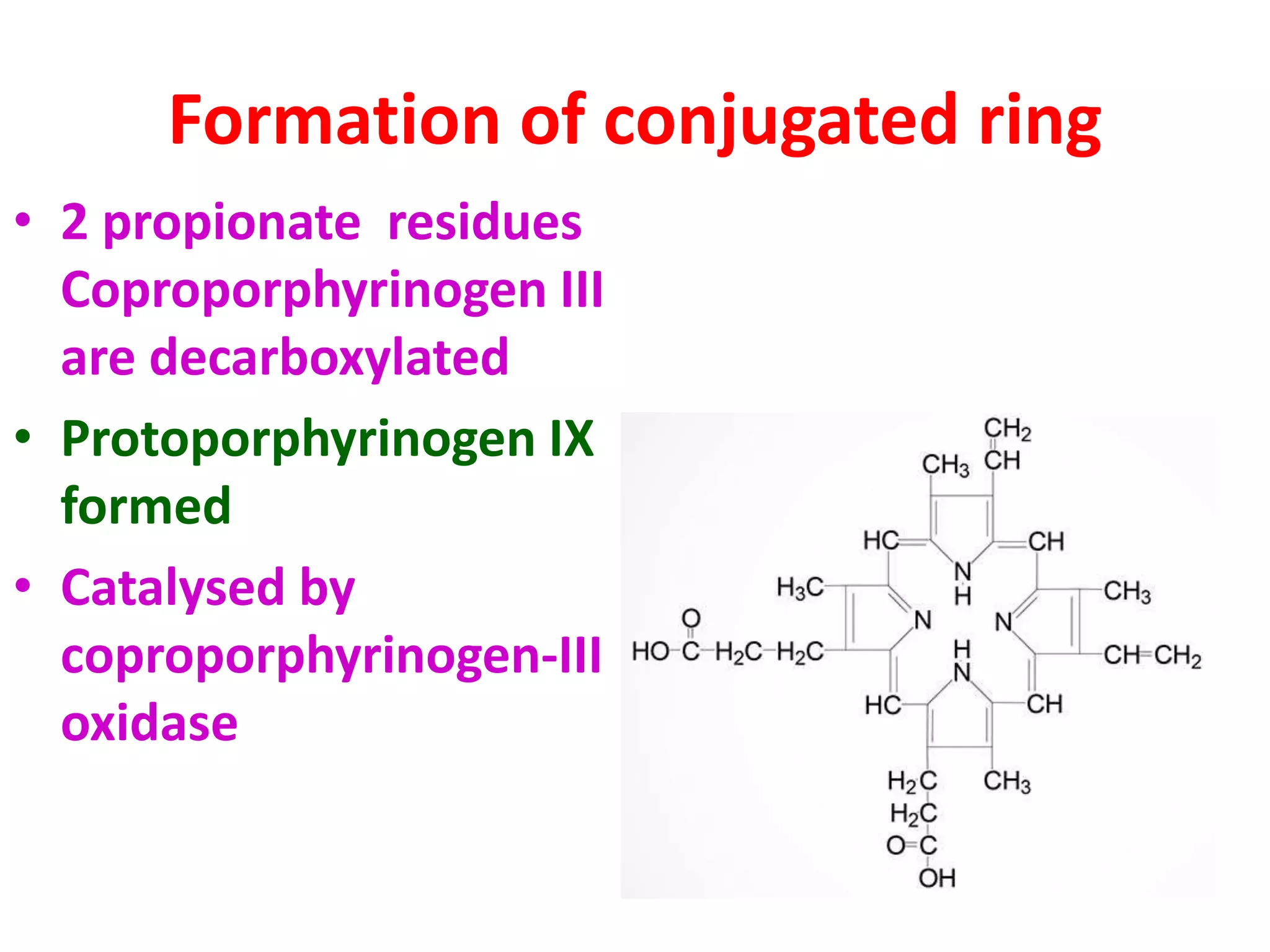 Formation of conjugated ring
• 2 propionate residues
Coproporphyrinogen III
are decarboxylated
• Protoporphyrinogen IX
formed
• Catalysed by
coproporphyrinogen-III
oxidase
 