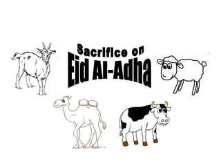 Eid Al-Adha Sacrifice on 