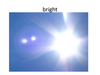 bright
 