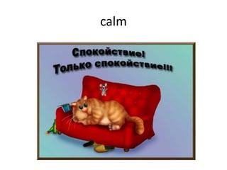 calm
 