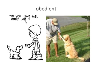 obedient
 