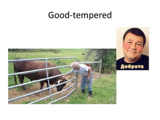 Good-tempered
 