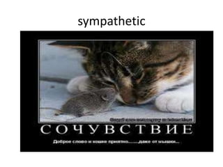 sympathetic
 