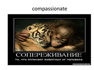compassionate
 