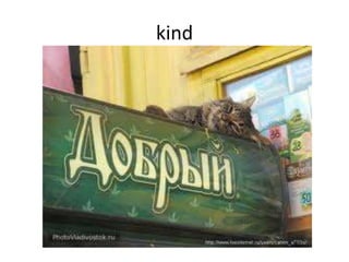 kind
 