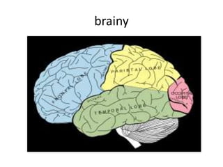 brainy
 