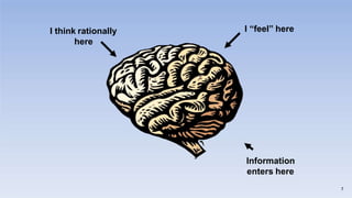 Information
enters here
I “feel” here
I think rationally
here
7
 