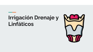 Irrigación Drenaje y
Linfáticos
 