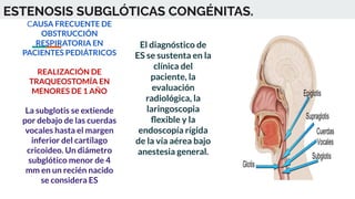 ESTENOSIS SUBGLÓTICAS CONGÉNITAS.
CAUSA FRECUENTE DE
OBSTRUCCIÓN
RESPIRATORIA EN
PACIENTES PEDIÁTRICOS
REALIZACIÓN DE
TRAQUEOSTOMÍA EN
MENORES DE 1 AÑO
La subglotis se extiende
por debajo de las cuerdas
vocales hasta el margen
inferior del cartílago
cricoideo. Un diámetro
subglótico menor de 4
mm en un recién nacido
se considera ES
El diagnóstico de
ES se sustenta en la
clínica del
paciente, la
evaluación
radiológica, la
laringoscopia
ﬂexible y la
endoscopía rígida
de la vía aérea bajo
anestesia general.
 