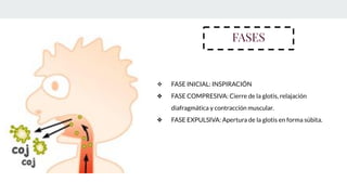 FASES
❖ FASE INICIAL: INSPIRACIÓN
❖ FASE COMPRESIVA: Cierre de la glotis, relajación
diafragmática y contracción muscular.
❖ FASE EXPULSIVA: Apertura de la glotis en forma súbita.
 