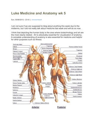 Luke Medicine and Anatomy wk 5
Sun, 05/06/2012 - 23:43 | lmeisenhardt


I am not sure if we are supposed to blog about anything this week due to the
midterms, but I did not really talk about medicine last week and will do so now.

I think that depicting the human body is the area where biotechnology and art are
the most clearly related. Art is absolutely essential for visualization of anatomy.
A complete understanding of anatomy is also essential for medicine and helpful
for other purposes such as fitness.
 