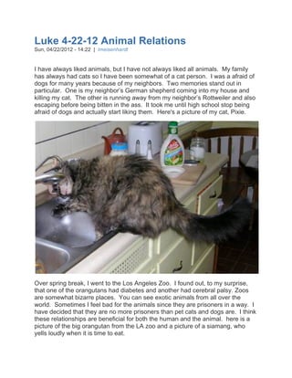 Luke 4-22-12 Animal Relations
Sun, 04/22/2012 - 14:22 | lmeisenhardt


I have always liked animals, but I have not always liked all animals. My family
has always had cats so I have been somewhat of a cat person. I was a afraid of
dogs for many years because of my neighbors. Two memories stand out in
particular. One is my neighbor’s German shepherd coming into my house and
killing my cat. The other is running away from my neighbor’s Rottweiler and also
escaping before being bitten in the ass. It took me until high school stop being
afraid of dogs and actually start liking them. Here's a picture of my cat, Pixie.




Over spring break, I went to the Los Angeles Zoo. I found out, to my surprise,
that one of the orangutans had diabetes and another had cerebral palsy. Zoos
are somewhat bizarre places. You can see exotic animals from all over the
world. Sometimes I feel bad for the animals since they are prisoners in a way. I
have decided that they are no more prisoners than pet cats and dogs are. I think
these relationships are beneficial for both the human and the animal. here is a
picture of the big orangutan from the LA zoo and a picture of a siamang, who
yells loudly when it is time to eat.
 