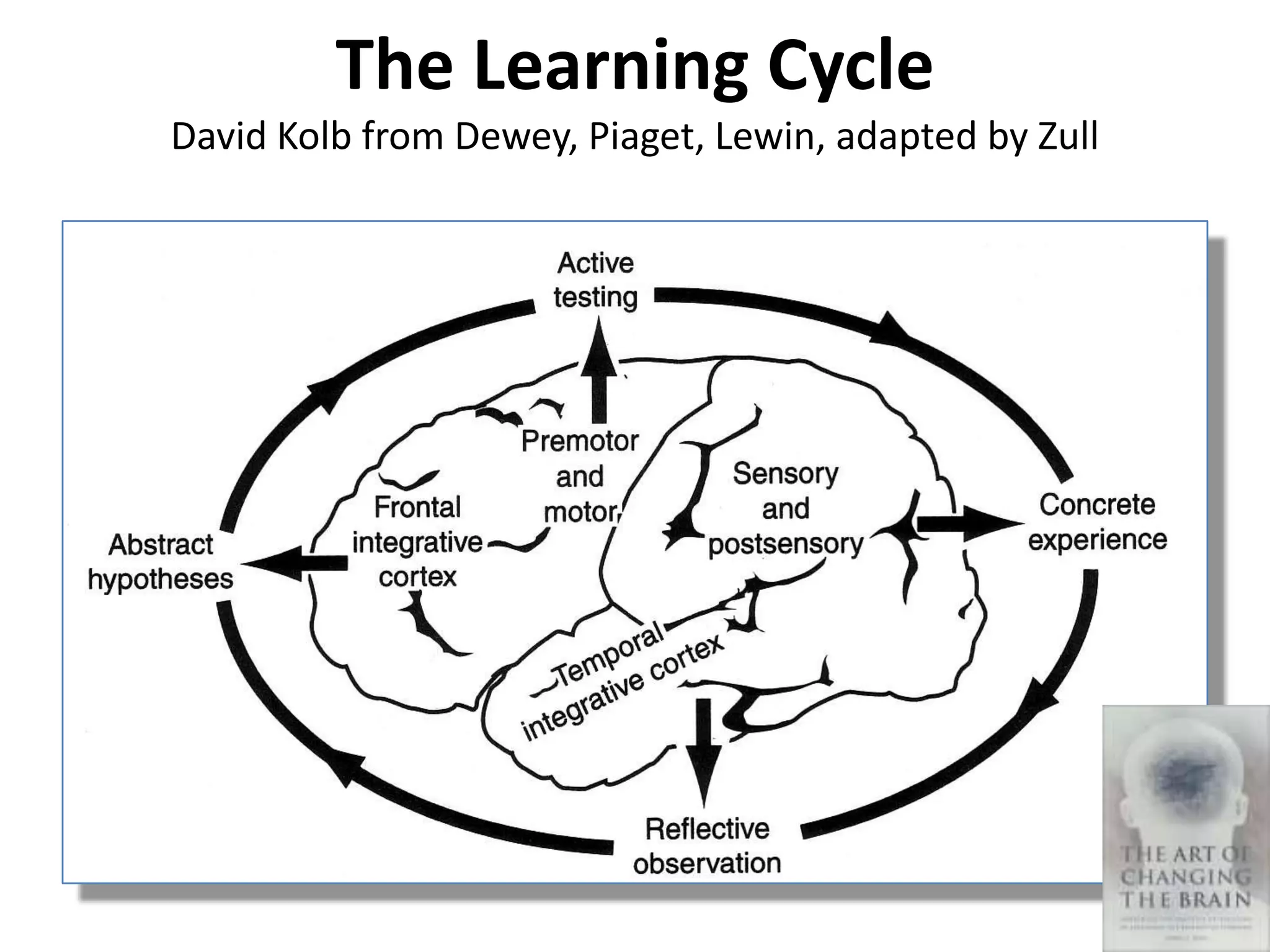 The Learning Cycle
David Kolb from Dewey, Piaget, Lewin, adapted by Zull
 