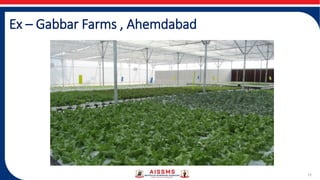 Ex – Gabbar Farms , Ahemdabad
15
 