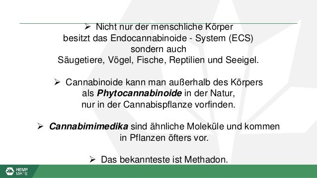 Eigene Hemp Mate Prasentation