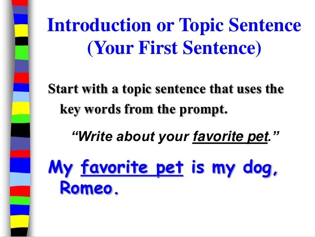 essay writing on my pet dog custom paper sample my favorite dog essay