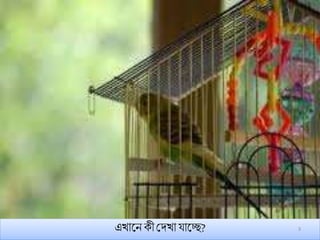 Eight bangla class_1 | PPTX