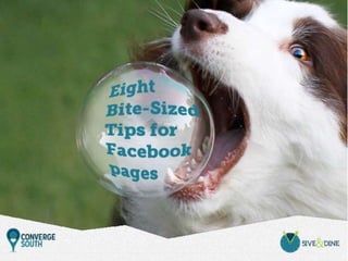 Eight Bite-Sized Facebook Tips