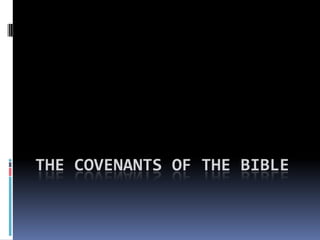 The Covenants of the Bible 