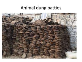 Animal dung patties
 