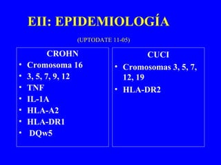 EII: EPIDEMIOLOGÍA
(UPTODATE 11-05)
CROHN
• Cromosoma 16
• 3, 5, 7, 9, 12
• TNF
• IL-1A
• HLA-A2
• HLA-DR1
• DQw5
CUCI
• Cromosomas 3, 5, 7,
12, 19
• HLA-DR2
 