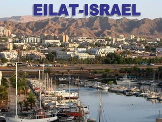 Eilat Mar Rojo EILAT-ISRAEL 
