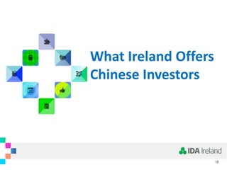 What Ireland Offers
Chinese Investors
18
 