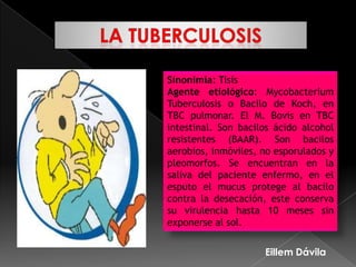 Sinonimia: Tisis
Agente etiológico: Mycobacterium
Tuberculosis o Bacilo de Koch, en
TBC pulmonar. El M. Bovis en TBC
intestinal. Son bacilos ácido alcohol
resistentes (BAAR). Son bacilos
aerobios, inmóviles, no esporulados y
pleomorfos. Se encuentran en la
saliva del paciente enfermo, en el
esputo el mucus protege al bacilo
contra la desecación, este conserva
su virulencia hasta 10 meses sin
exponerse al sol.


                     Eillem Dávila
 