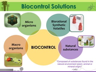 Biological Protection System The (im)possibilitiies of biological protection in interior landscaping ...