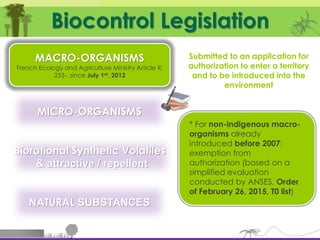 Biological Protection The (im)possibilitiies of biological protection in interior landscaping ...